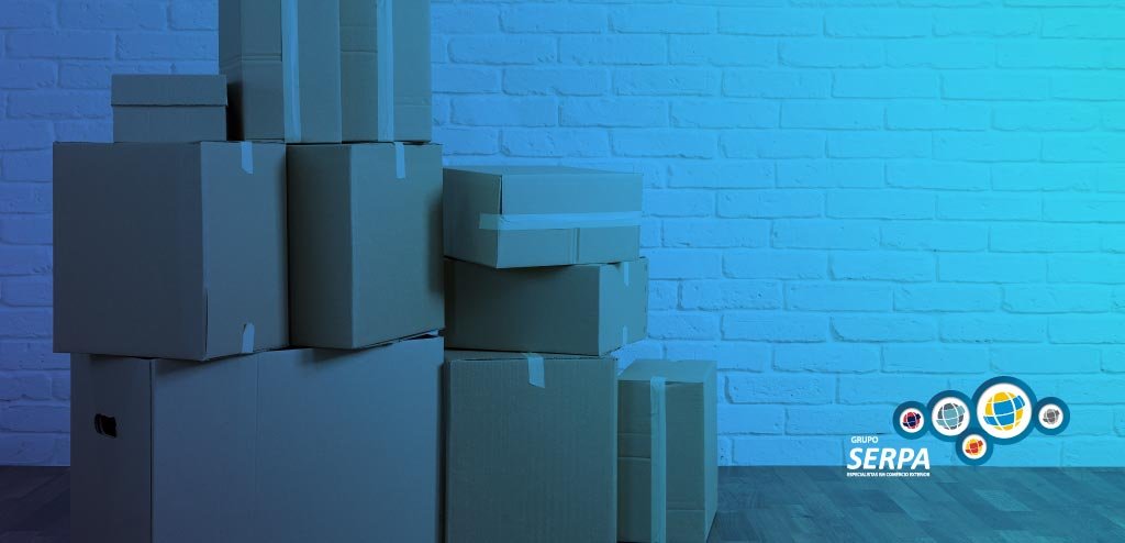 nov processo de importação